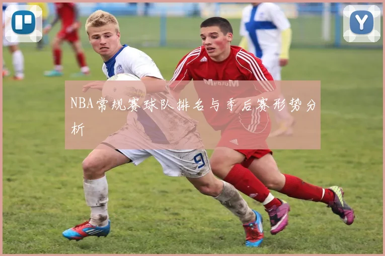 NBA常规赛球队排名与季后赛形势分析